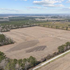 4-web-or-mls-DJI_20250313114944_0034_D