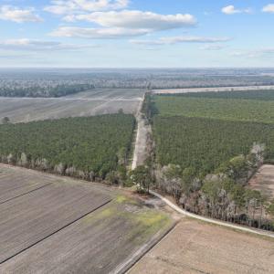 5-web-or-mls-DJI_20250313115014_0035_D