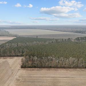 16-web-or-mls-DJI_20250313115638_0053_D