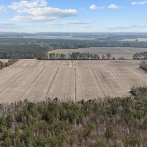 12-web-or-mls-DJI_20250313115419_0046_D