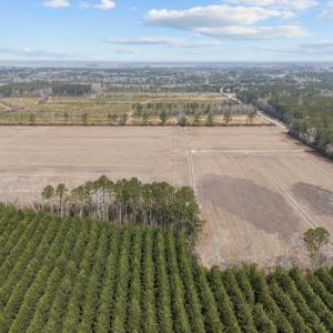 17-web-or-mls-DJI_20250313115746_0055_D