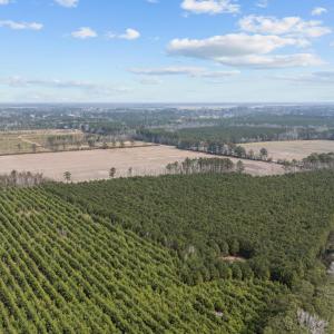 10-web-or-mls-DJI_20250313115301_0042_D