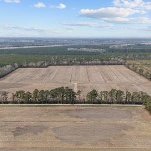 3-web-or-mls-DJI_20250313114900_0033_D