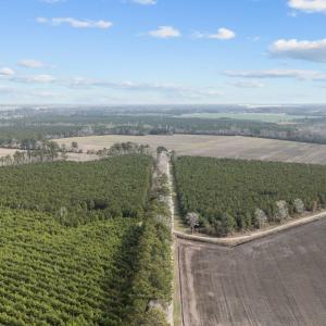 9-web-or-mls-DJI_20250313115248_0041_D