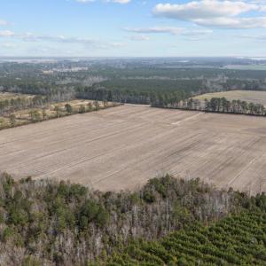 11-web-or-mls-DJI_20250313115356_0045_D