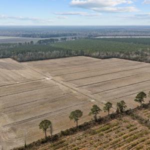 15-web-or-mls-DJI_20250313115607_0052_D