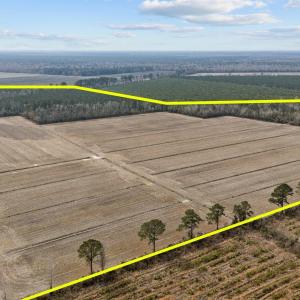 1-web-or-mls-DJI_20250313115607_0052_D_1