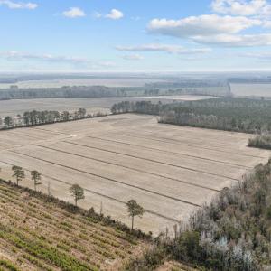 13-web-or-mls-DJI_20250313115452_0048_D