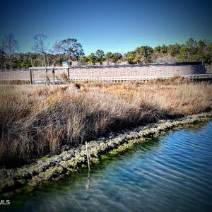 IMG_0103-EDIT