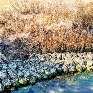 IMG_0106-EDIT