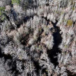 DJI_20240104122710_0077_D