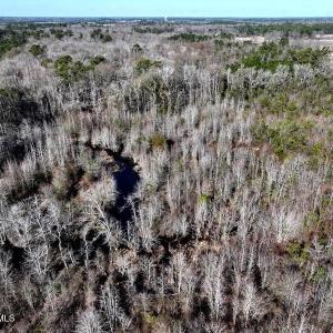 DJI_20240104122740_0086_D