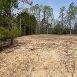 Cleared for Homesite