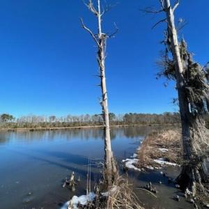 Harvey Creek