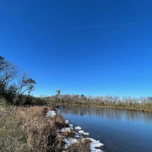Harvey Creek