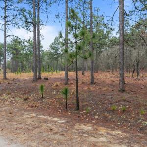 1-web-or-mls-DJI_20260228103650_0928_D