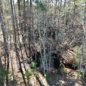 Image 15