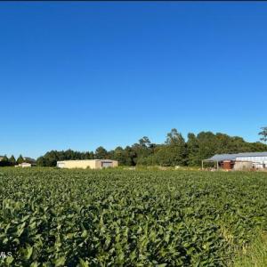 Screenshot 2025-02-26 at 3.06.32PM (1)