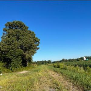 Screenshot 2025-02-26 at 3.07.27PM