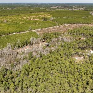 DJI_0025