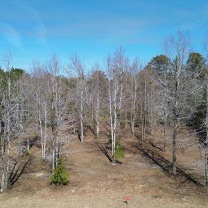 DJI_0058