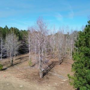 DJI_0059