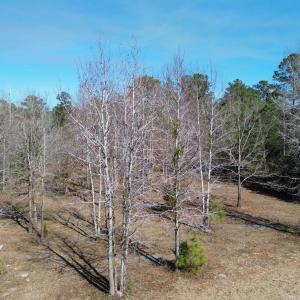 DJI_0060