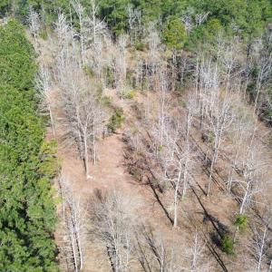 DJI_0061