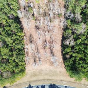 DJI_0065