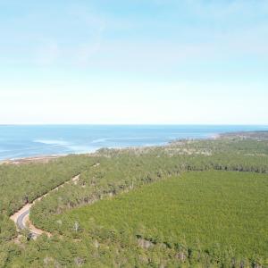 DJI_0066