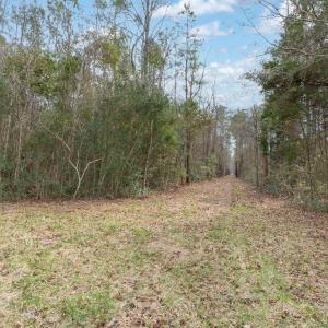 Florence Rd-20