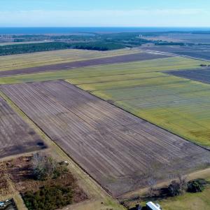 DJI_0023