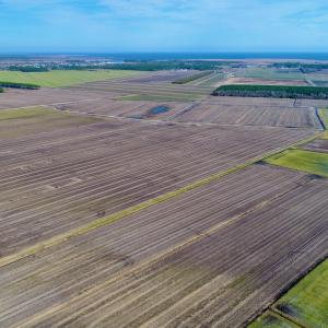 DJI_0029
