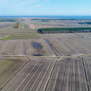 DJI_0033
