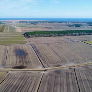 DJI_0036
