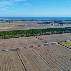 DJI_0038