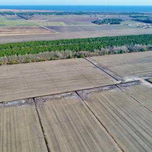 DJI_0039