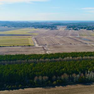 DJI_0047