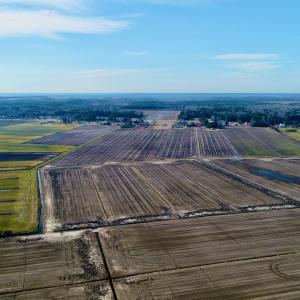 DJI_0052