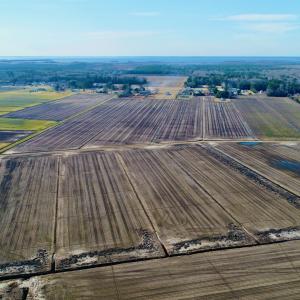 DJI_0054