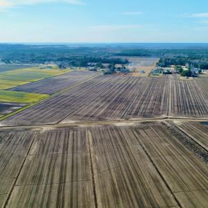 DJI_0058