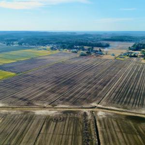 DJI_0061