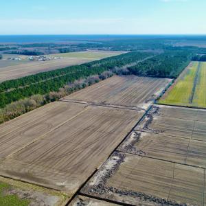 DJI_0065