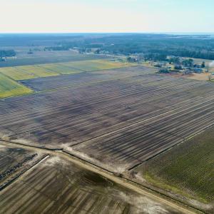 DJI_0067