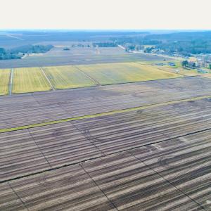 DJI_0072