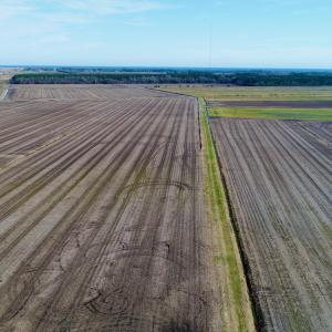DJI_0080