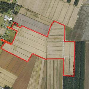 Screen Shot 2025-02-27 at 11.14.29 AM