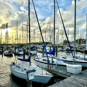 Northwest Creek Marina