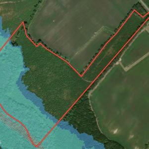 Flood Zone