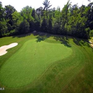 Belmont Golf Course 2